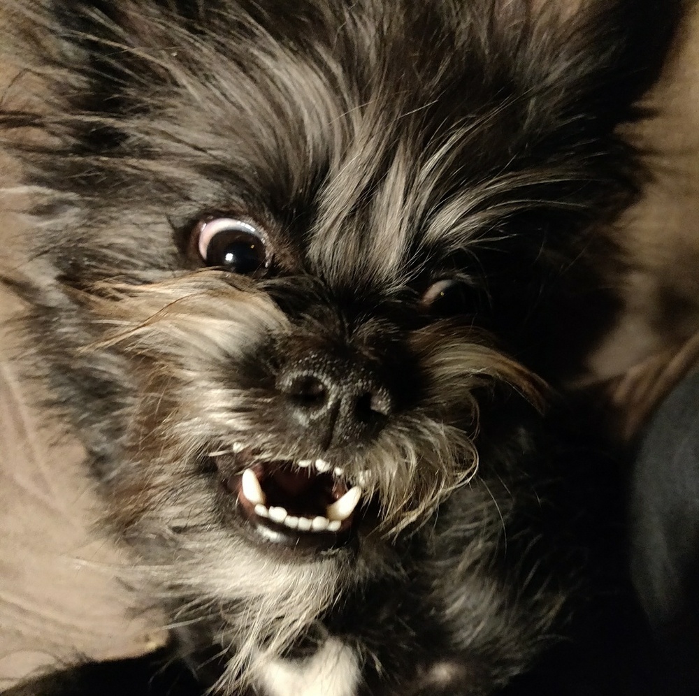 Meet your Posher, Carrie